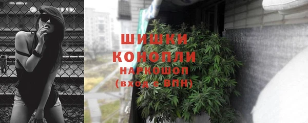 спиды Бородино
