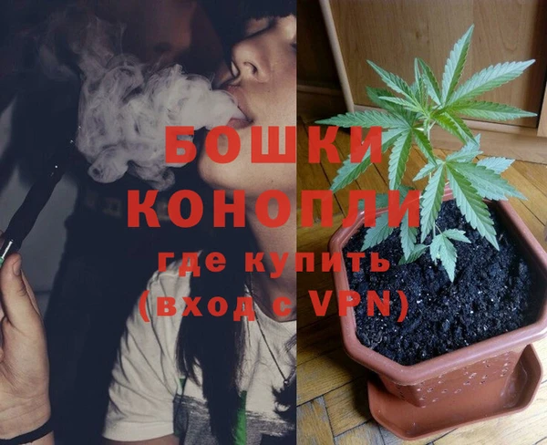 спиды Бородино