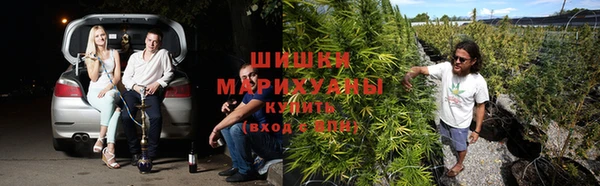 дмт Верея